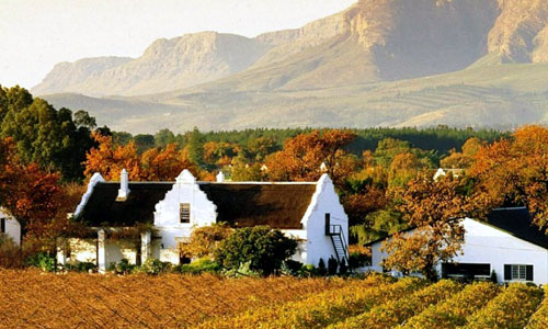 Stellenbosch Valley