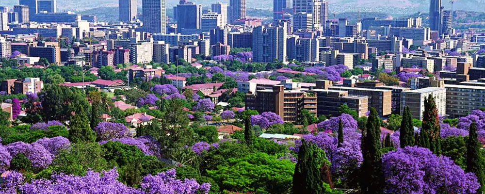 Pretoria City Garden